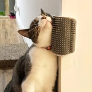 Cat Self Groomer with Massage Comb Brush - Image 5
