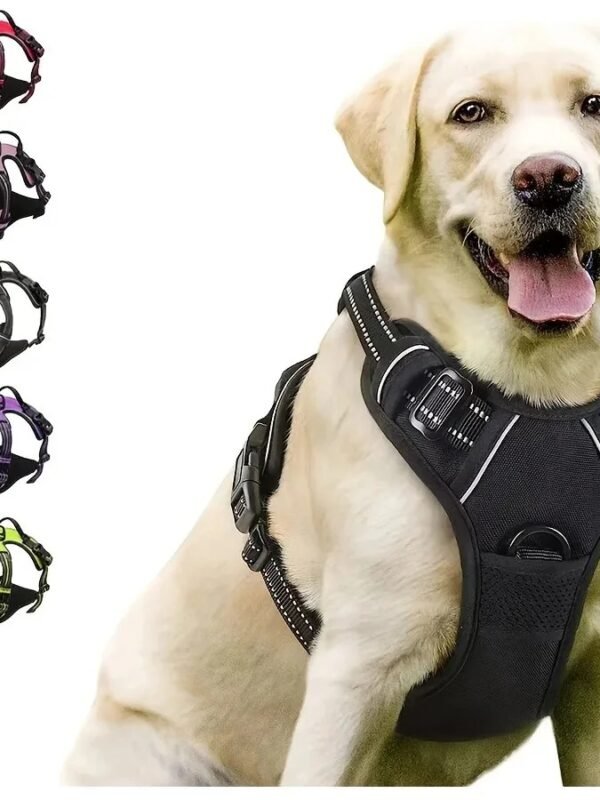 Dog Collars Harness Big Vests