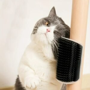 Cat Self Groomer with Massage Comb Brush - Image 6