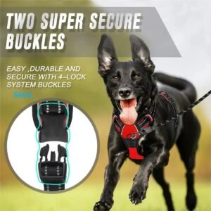Dog Collars Harness Big Vests - Image 7
