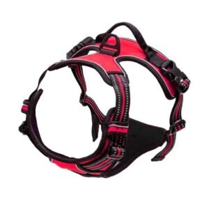 Dog Collars Harness Big Vests - Image 3