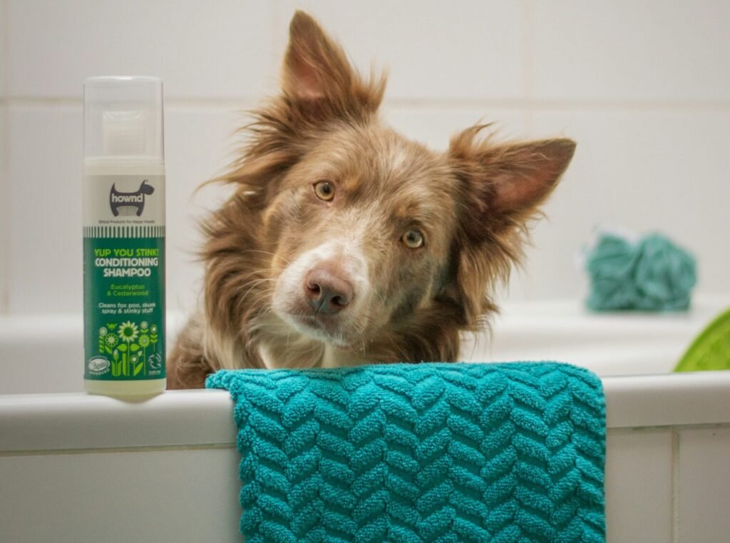 Owner bathing a happy dog with gentle pet shampoo at home
