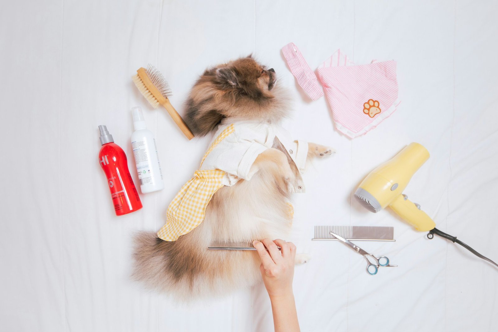 Best Tools for you pets grooming